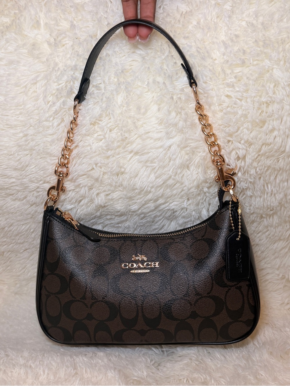 Coach Teri Brown Signature Canvas